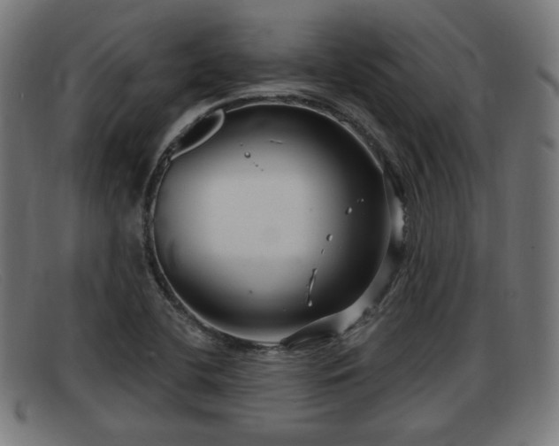 X0000091851412200709121302