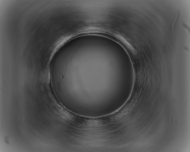 X0000091851413200709121302
