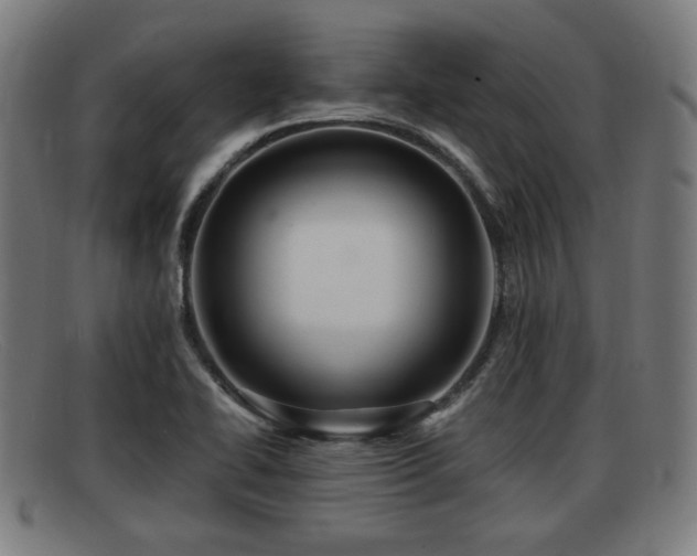 X0000091851414200709121302