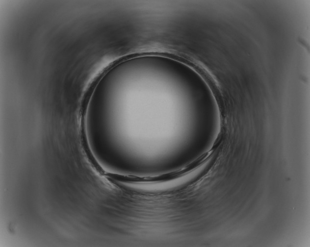 X0000091851416200709121302