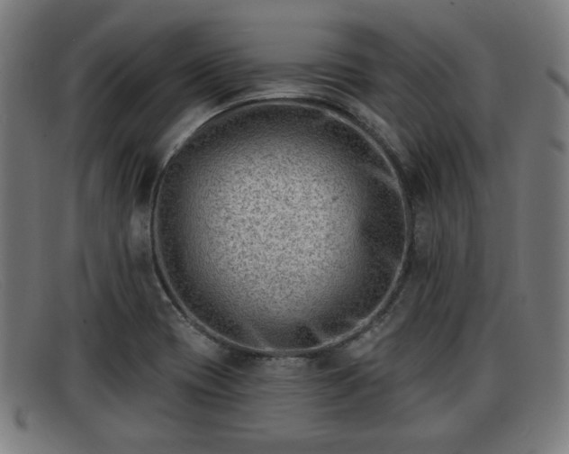 X0000091851417200709121302