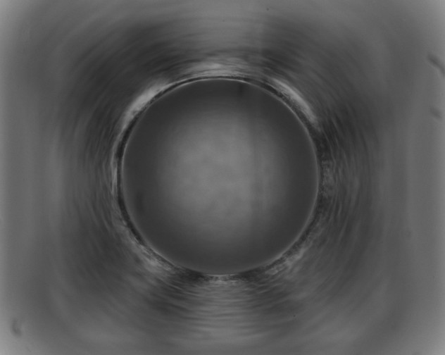 X0000091851419200709121302