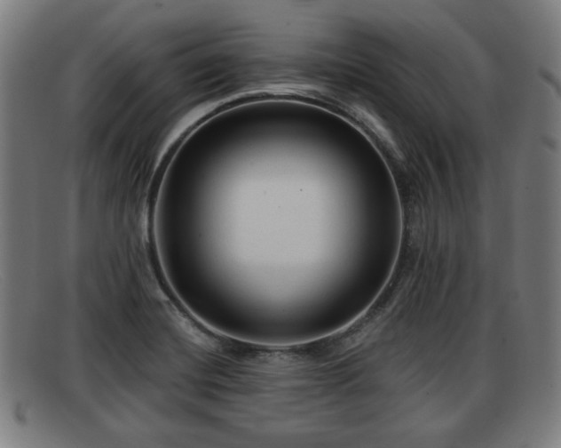 X0000091851420200709121302