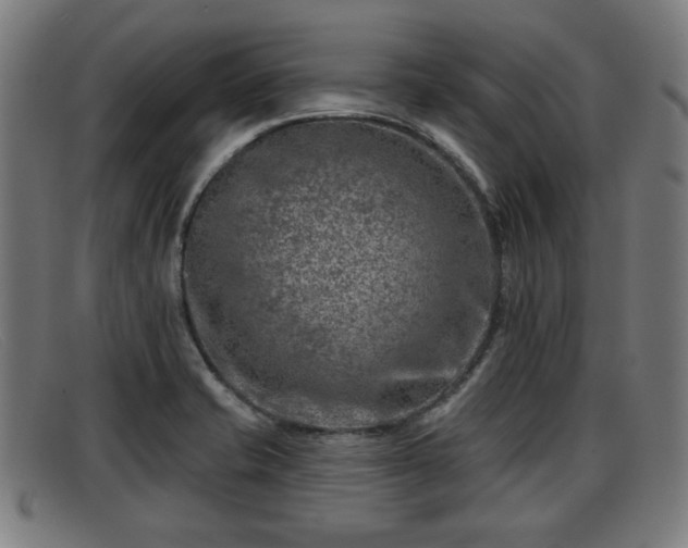X0000091851421200709121302