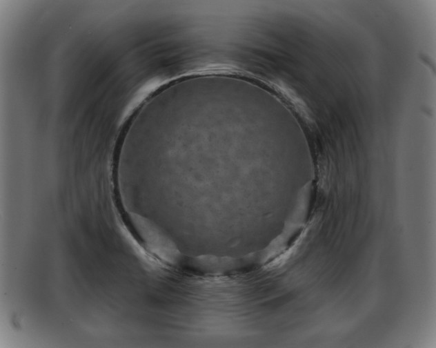 X0000091851422200709121302
