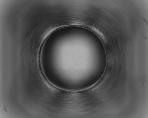 X0000091851423200709121302