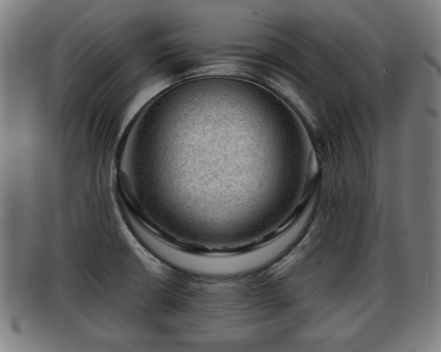 X0000091851426200709121302