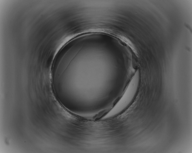 X0000091851428200709121302