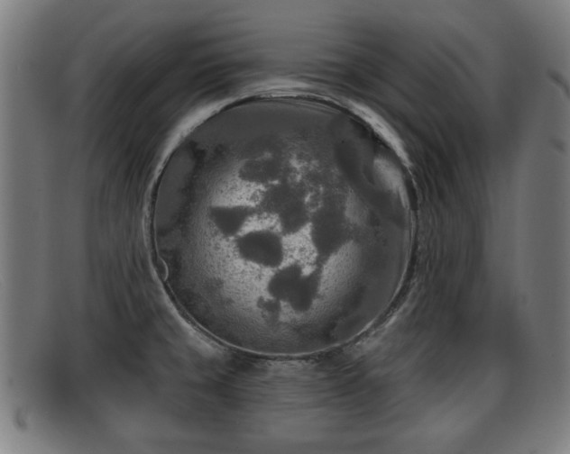 X0000091851429200709121302