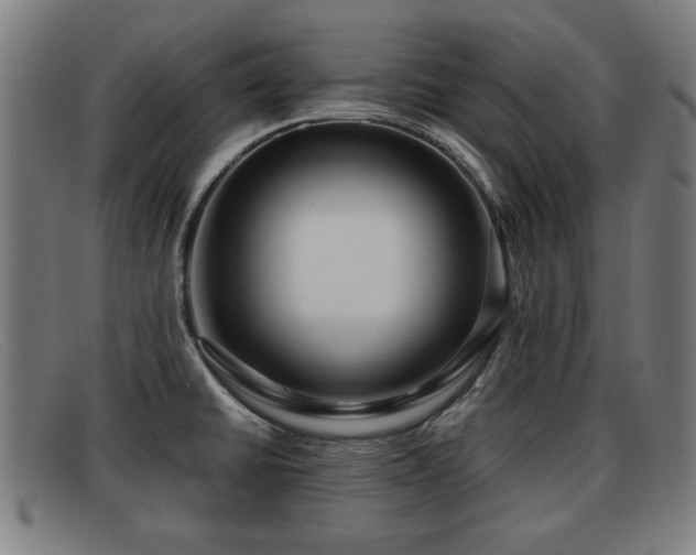 X0000091851430200709121302