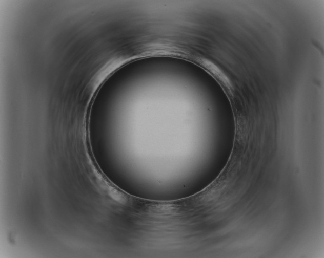 X0000091851431200709121302