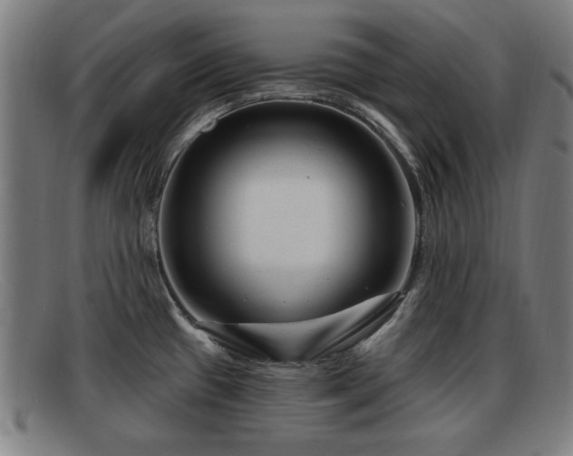 X0000091851433200709121302