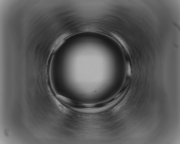 X0000091851434200709121302