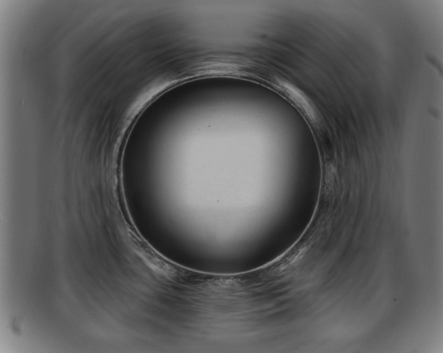 X0000091851435200709121302