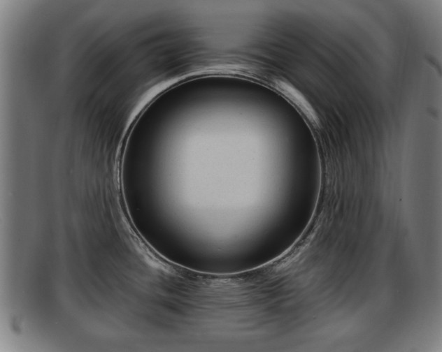 X0000091851436200709121302