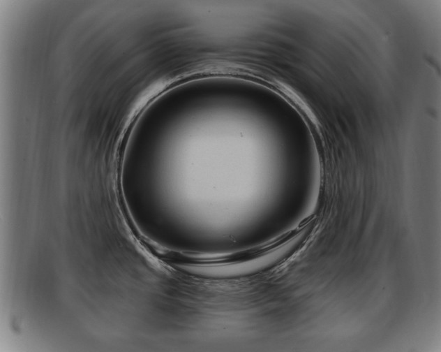 X0000091851437200709121302