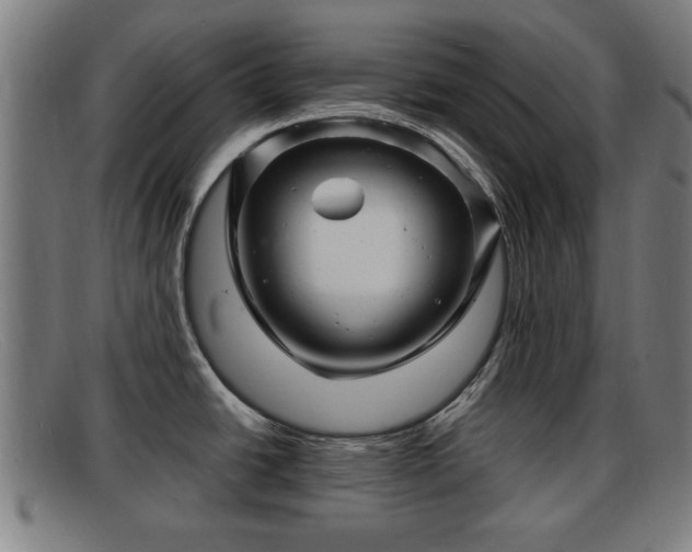 X0000091851438200709121302