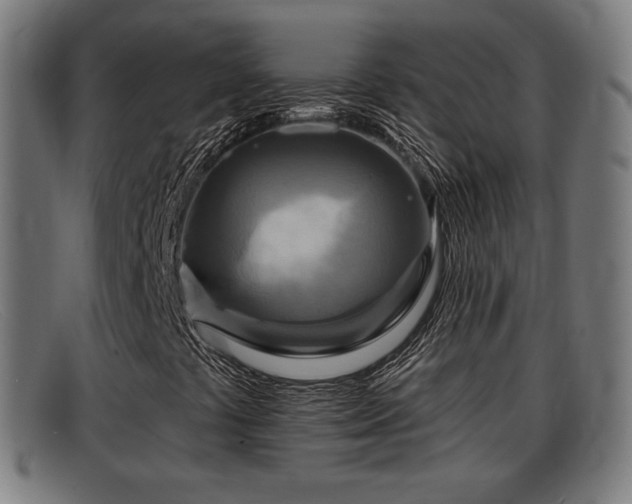 X0000091851441200709121301