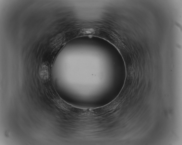 X0000091851442200709121301