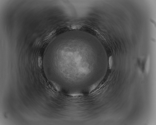 X0000091851443200709121301
