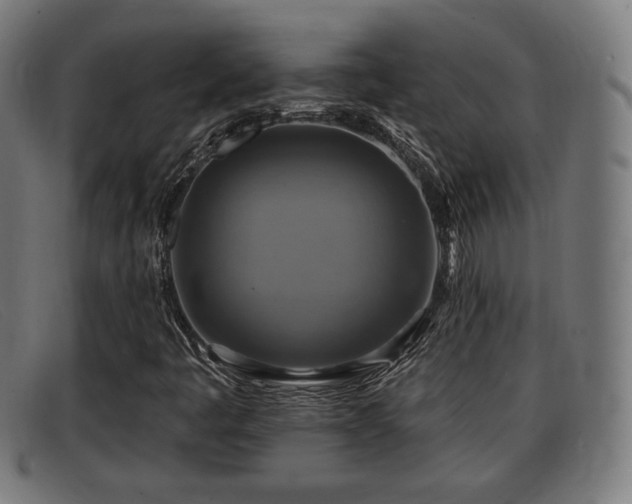 X0000091851445200709121301