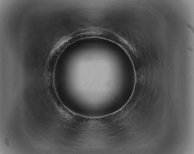 X0000091851448200709121301