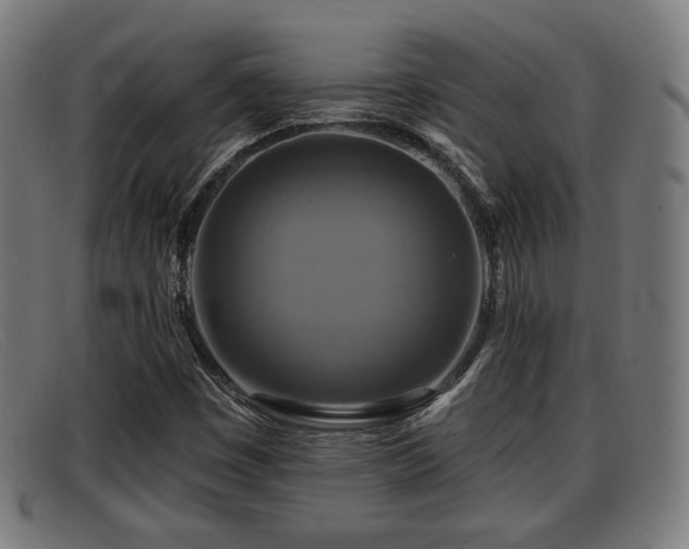 X0000091851449200709121301