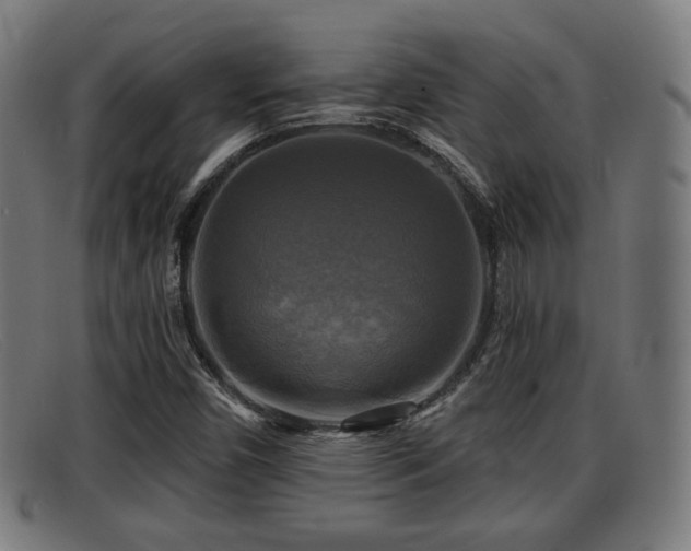 X0000091851450200709121301