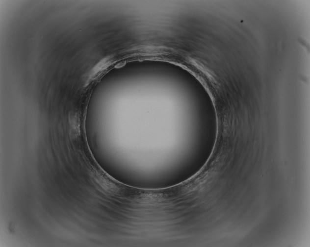 X0000091851451200709121301