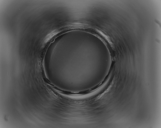 X0000091851453200709121301