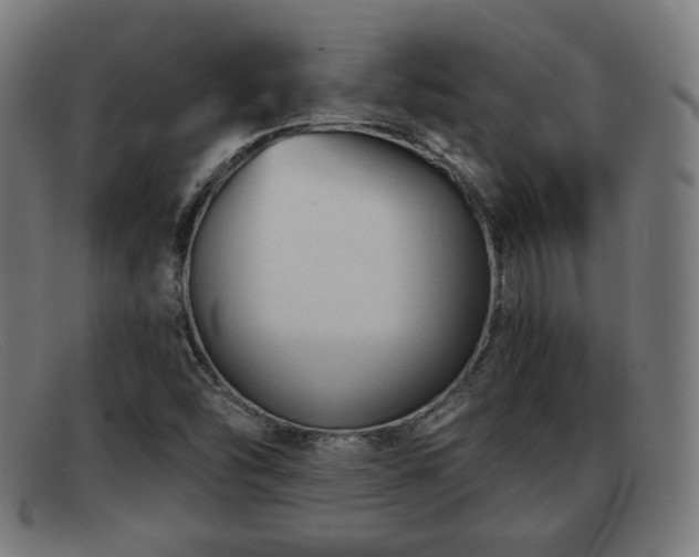 X0000091851454200709121301