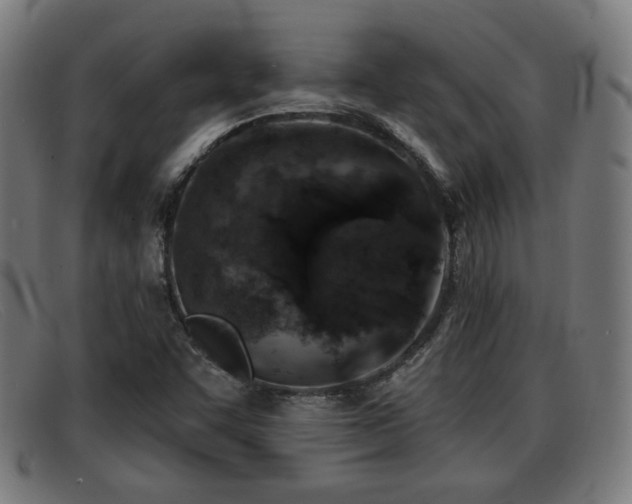 X0000091851455200709121301