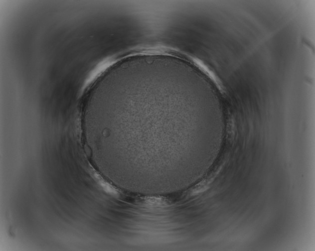 X0000091851456200709121301