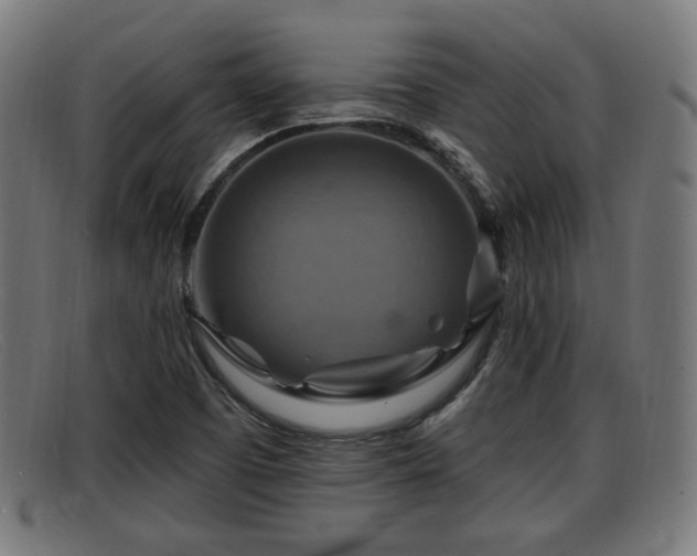 X0000091851457200709121301