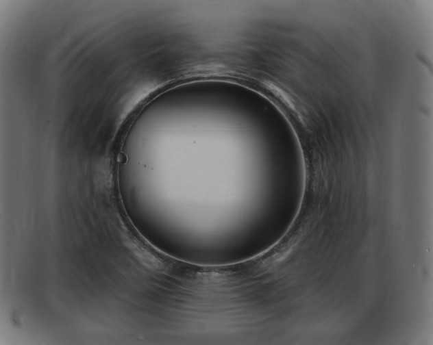 X0000091851458200709121301