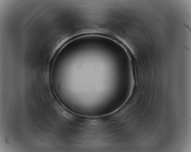 X0000091851460200709121301