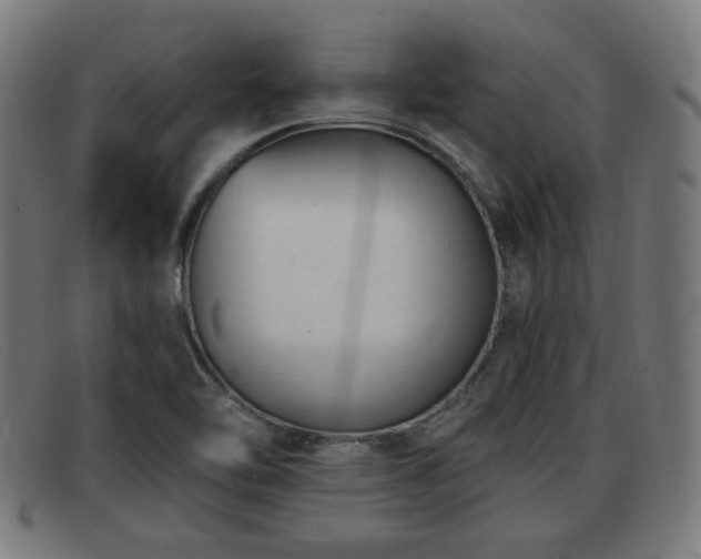 X0000091851462200709121301