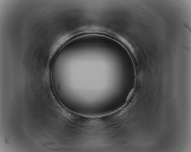 X0000091851464200709121301