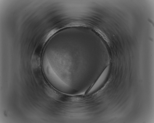 X0000091851465200709121301