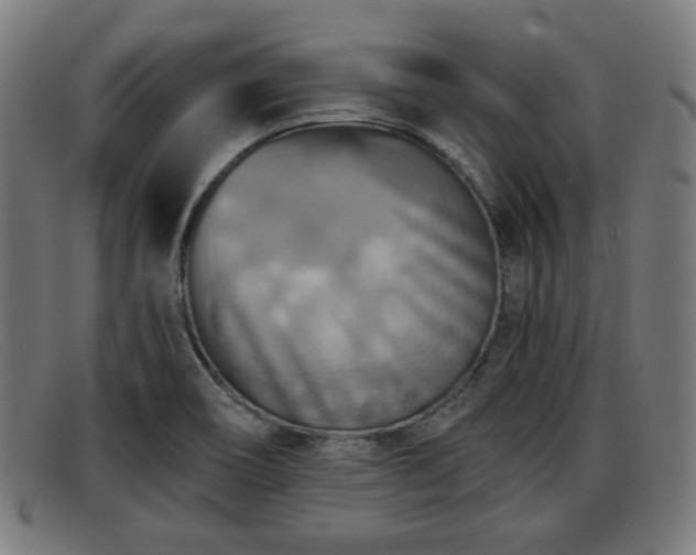 X0000091851466200709121301