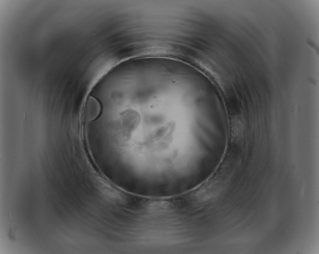 X0000091851467200709121301