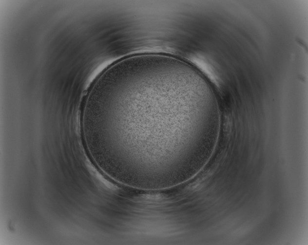 X0000091851468200709121301