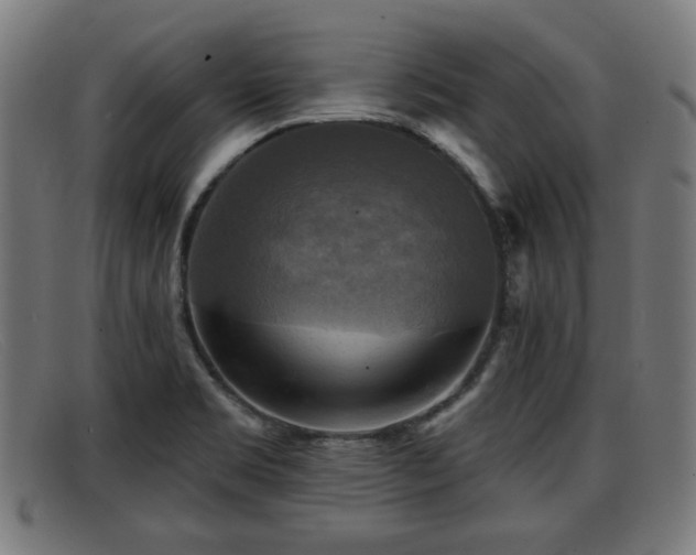 X0000091851469200709121301
