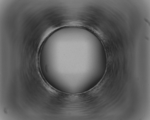 X0000091851470200709121301