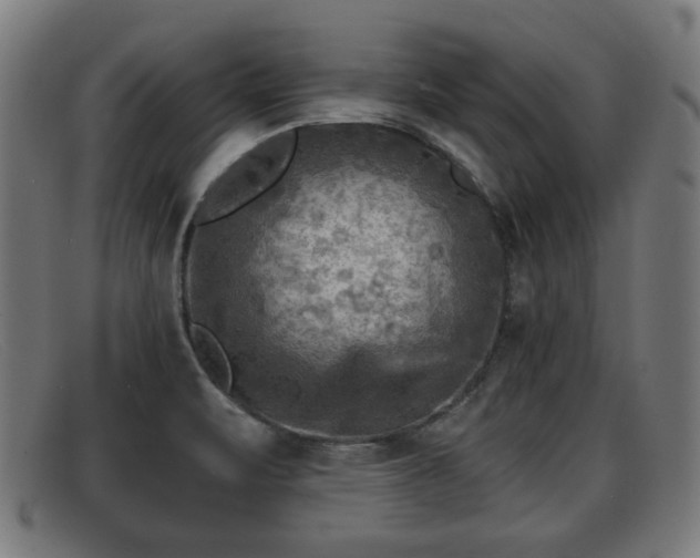 X0000091851471200709121301