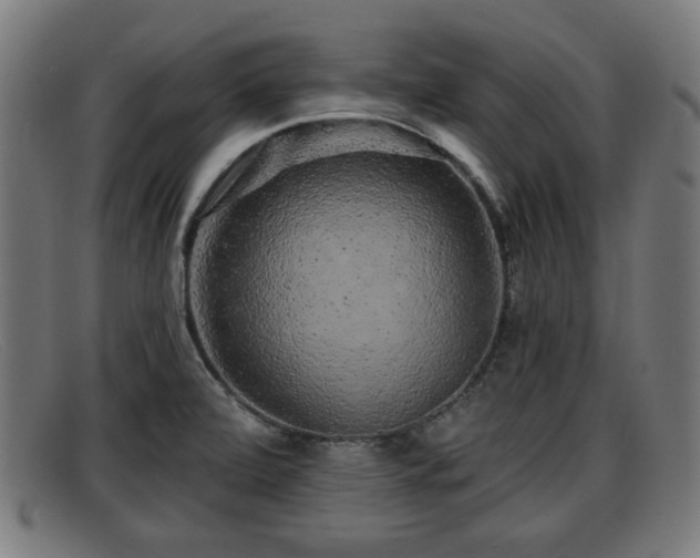X0000091851472200709121301