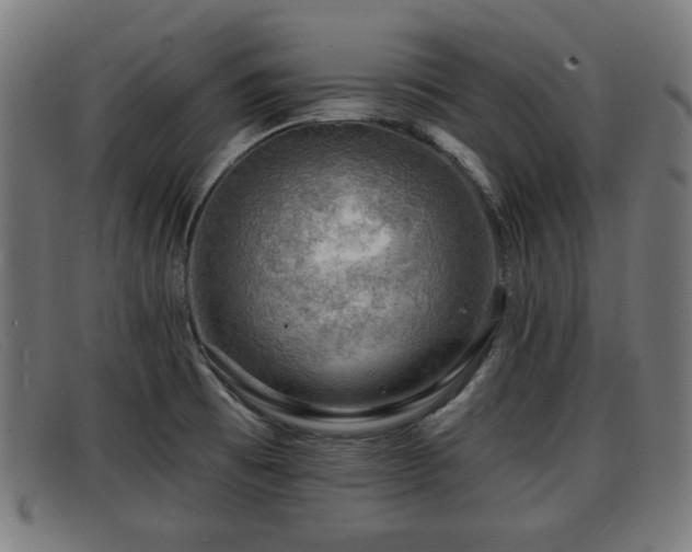 X0000091851473200709121301