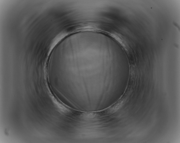 X0000091851474200709121301