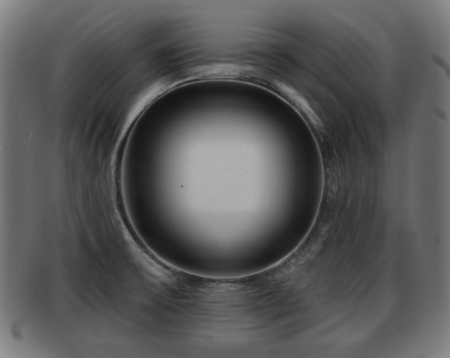 X0000091851475200709121301