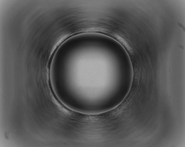 X0000091851476200709121301